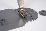 Janome reference photo: HD9QC Professional needle plate and feed area close-up