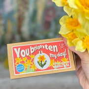 The Crafty Kit Company You Brighten My Day Mini Matchbox Cross Stitch Kit