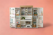 DreamBox in White Oak