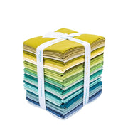 Lori Holt Dapper Confetti Cotton Fat Quarter Bundle – 32 Pieces | Riley Blake official Riley Blake Designs product view, manufacturer SKU FQ-LHDAP120-32